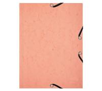 Exacompta - Rif. 555667E - Cartone da 10 camicie a 3 lembi con elastici per acquerello + 25 spine Bristol A5, speciale revisione per un'organizzazione per tema o materiale, corallo