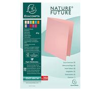 Exacompta - Rif. 850000E - Cartone da 5 confezioni da 250 sottocamicie SUPER 60 g/m2 in colori pastello - sotto camicie certificate PEFC - dimensioni 22 x 31 cm per formato A4-5 colori assortiti
