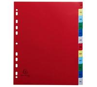 Exacompta - Rif. 92E - Cartone da 20 divisori in polipropilene con 12 schede stampate mensile da gennaio a dicembre a colori, pagina di indicizzazione imrpimabile, formato A4 maxi