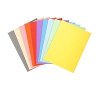 Exacompta - Rif. Forever® 420100E - Cartone da 10 confezioni da 10 camicie semirigide 170 g/m2 - camicie 100% riciclate e certificate angelo blu - dimensioni 24 x 32 cm per A4-10 colori assortiti