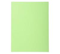Exacompta - Rif. Forever® 420213E - Cartone da 10 confezioni da 50 camicie semirigide 170 g/m2 - camicie 100% riciclate e certificate angelo blu - dim 24 x 32 cm per A4 - colore verde brillante