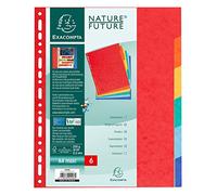 Exacompta separatore cartoncino lucido xxl 6posizioni rif. 2406e