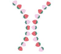 EXAOMBLE 2 Set Striscione Decorativo di Compleanno Fragole in Feltro, Bandierine a Forma di Strawberry per Decorazioni Festa Compleanno, per Uso Indoor e Outdoor senza Odore