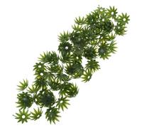 EXAOMBLE Accessori per Fiori Artificiali 100 Pezzi Calici Base in Plastica 2,3 CM Portafiori per Composizioni Floreali Fai da Te Materiali per Fiori di Seta da Interno