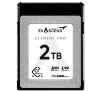 Exascend Scheda di memoria Element Pro CFexpress tipo B 2TBGB