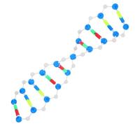 EXCEART Kit di Dna Didattico Struttura a Doppia Molecolare Educativo per Biologia Cellulare e Genetica in Classe e Laboratorio, Strumento Scientifico per Studenti e Progetti Educativi