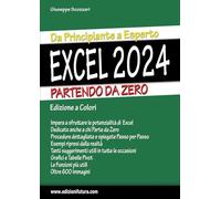 Excel 2024. Da principiante a esperto partendo da zero. Ediz. illustrata