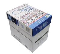 Excellent Copy Paper carta Formato A4-21x29,7cm 80 gr, per ufficio, stampa e fotocopie - 1 ct da 5 risme A4