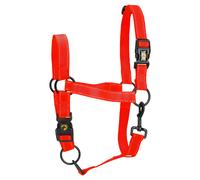 Excellent Horse Premium Capestro Rosso per Cavalli Con Quick Release-System