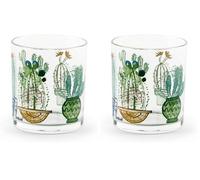 Excelsa KTN 3 BICC.CACTUS CL.25 (Confezione da 2)