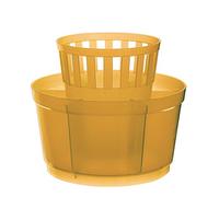 Excelsa Rainbow Scolaposate Tondo, 15 cm, Polipropilene, Arancione