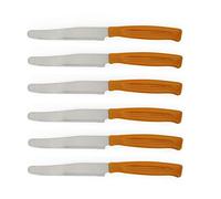 Excelsa Rainbow Set 6 Coltelli Da Tavola Seghettati, Acciaio Inox, Arancio