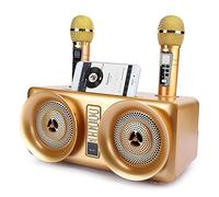 Exception Macchina per karaoke, altoparlante Bluetooth ricaricabile, 15 W x 2 con 2 microfoni senza fili, sistema di altoparlanti acustici portatili per bambini e adulti