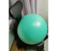 EXCLURA Sedia Palla Ufficio Sedia con Palla da Esercizio Rotante e Pompa, Sedia da Ufficio Ergonomica con Palla da Yoga per Ufficio in Gravidanza, Sedia da Scrivania(B)