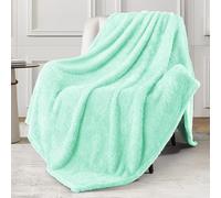 Exclusivo Mezcla Plush Extra Large Fleece Throw Blanket for Couch,Bed and Sofa (50x70 inches, Mint Green) Soft, Warm, Lightweight