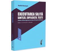 Executarea silita. Sinteze, explicatii, teste - Vasile Bozesan, Examene, Editie in limba romana