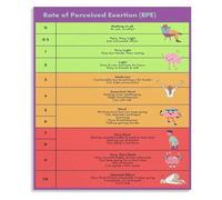 Exercise Intensity RPE Poster Workout Effort Monitoring Chart