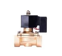 EXHOYAJB Interruttore solenoide in Ottone normalmente Chiuso a Risparmio da 1" for Acqua 220V 12V, Non for Febbre(BSP-24VAC)