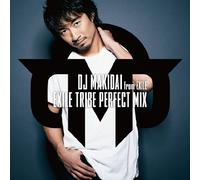 EXILE TRIBE PERFECT MIX - DJ M