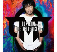 EXILE TRIBE PERFECT MIX - DJ M