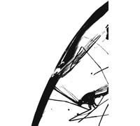 The Boxer Rebellion Exits (Vinyl LP) 12" Album Coloured Vinyl (Limited Edition)