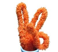 EXKURPOO Scovolini Colorati Foglio Ritorto da 1 m, Fai da Te, Artigianato, scovolino in Velluto Corallo e ciniglia for Cani e Gatti Carini(16 Orange Yellow,3pcs)