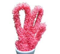 EXKURPOO Scovolini Colorati Foglio Ritorto da 1 m, Fai da Te, Artigianato, scovolino in Velluto Corallo e ciniglia for Cani e Gatti Carini(12 Hot Pink,2pcs)