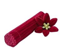 EXKURPOO Scovolini Colorati Steli di ciniglia, Barra di Torsione, Incudine, Filo, Fai da Te, Strisce di Peluche Fatte a Mano, 100 Pezzi, Tubo Artigianale, Bastoncini for Bambini(13)