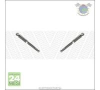 Exo Coppia Ammortizzatori xx Post Per Renault Megane I Cabriolet Benzina 199