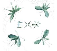 EXO - EXO (輸入盤) [Analog]