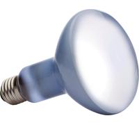 ExoTerra Daylight Basking Spot lampada al Neodymium ad ampio spettro