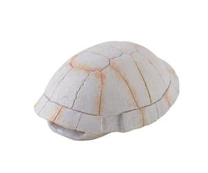 Exo Terra Dino Tortuga Mini