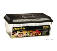 Exo Terra Faunarium Piatto Per Rettili - Acquario Di Trasporto E Quarantena