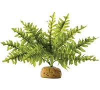 Exo Terra, felce di Boston, pianta artificiale per terrari, ideale per terrari della foresta pluviale, piccola