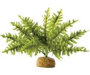 Exo Terra, felce di Boston, pianta artificiale per terrari, ideale per terrari della foresta pluviale, piccola