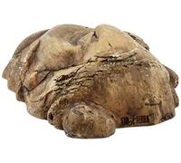Askoll 281661 Piante terrestri Exo Terra PT2991 ragno di orchidee, 7, 6 x 12, 7 x 43, 2 cm