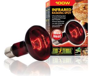 Exo Terra Infrared Basking Spot Heat GL - R25/100 W