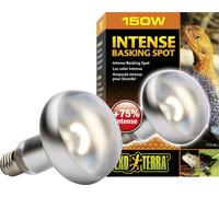 Exo Terra Intense Basking Spot - R30/150W