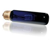 Exo Terra Lampada a Luce Lunare Night Heat 75 W