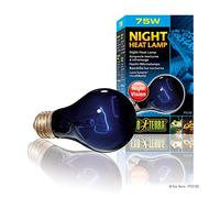Exo Terra Lampada A Luce Lunare Night Heat 75 W