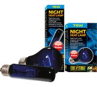 Exo Terra Night Glo NG - T10/15 W