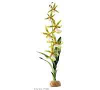 Exo Terra Pianta Terrario Orchidea Per Rettili E Anfibi