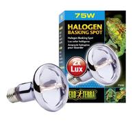 Exo Terra PT2141 Lampada Spot a Infrarossi Ex Heat Gl R20/50 W