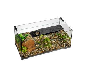 Exo Terra Turtle Haven - Terrario acquatico, 90 x 45 x 37 cm