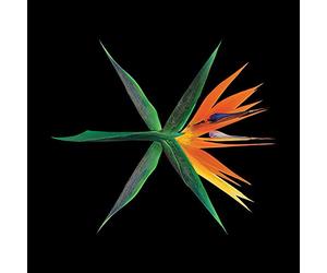 EXO - The War (Vol.4) [Chinese Ver.] CD+Photobook+Folded Poster+Free Gift