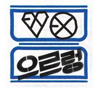 EXO XOXO [HUG Ver] 1st Album Repackaged CD w/Book K-POP Sealed [CD] [Box set]...