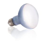ExoTerra Daylight Basking Spot lampada al Neodymium ad ampio spettro