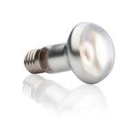 Exo Terra - Intense Basking Spot Lampada Luce Solare 100 W