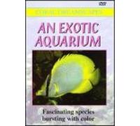 Exotic Aquarium: Coral Dreamscapes