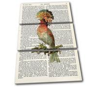 Exotic Bird Nature Colour Book Animals TREBLE TELA parete arte foto stampa